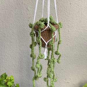 crochet hanging plant/ string of pearls plant with macrame