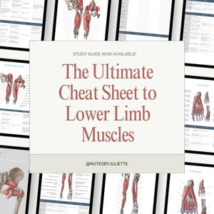 Lower Limbs: Muscle Charts Study Guide Cheat Sheet Downloadable