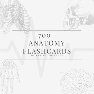 700+ MCAT Anatomy Flashcards Printable PDF