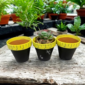 Vintage Hand Painted Clay Pots, Teacher Gift Set of 3