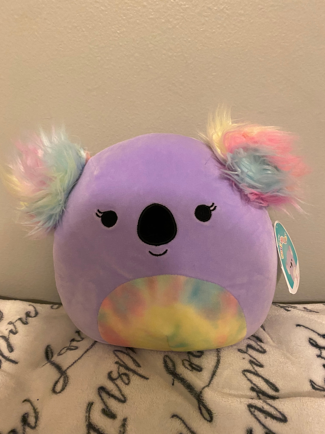 Koala 6inch Squishmellow | Etsy