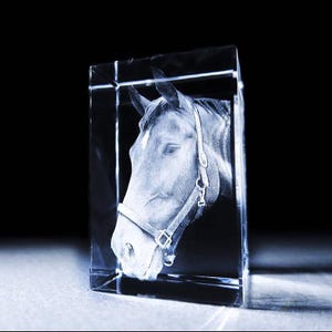 Torre 3D pequeña con foto de cristal - Foto de cristal - Taza de lienzo alternativa - Regalo personalizado - Regalo para mascotas - Entrega rápida