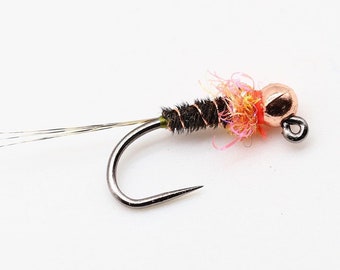 3x Melanistic Frenchie Nymph with Double Hot Spot