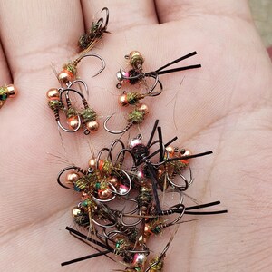 3x Thread Body Frenchie with Hot Spot