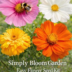 May include: A vibrant image showcases four colorful flowers: pink, white, yellow, and orange. A bumblebee is on the pink flower. The text "Simply Bloom Garden Easy Flower Seed Kit" is at the bottom. The flowers are in a garden setting.