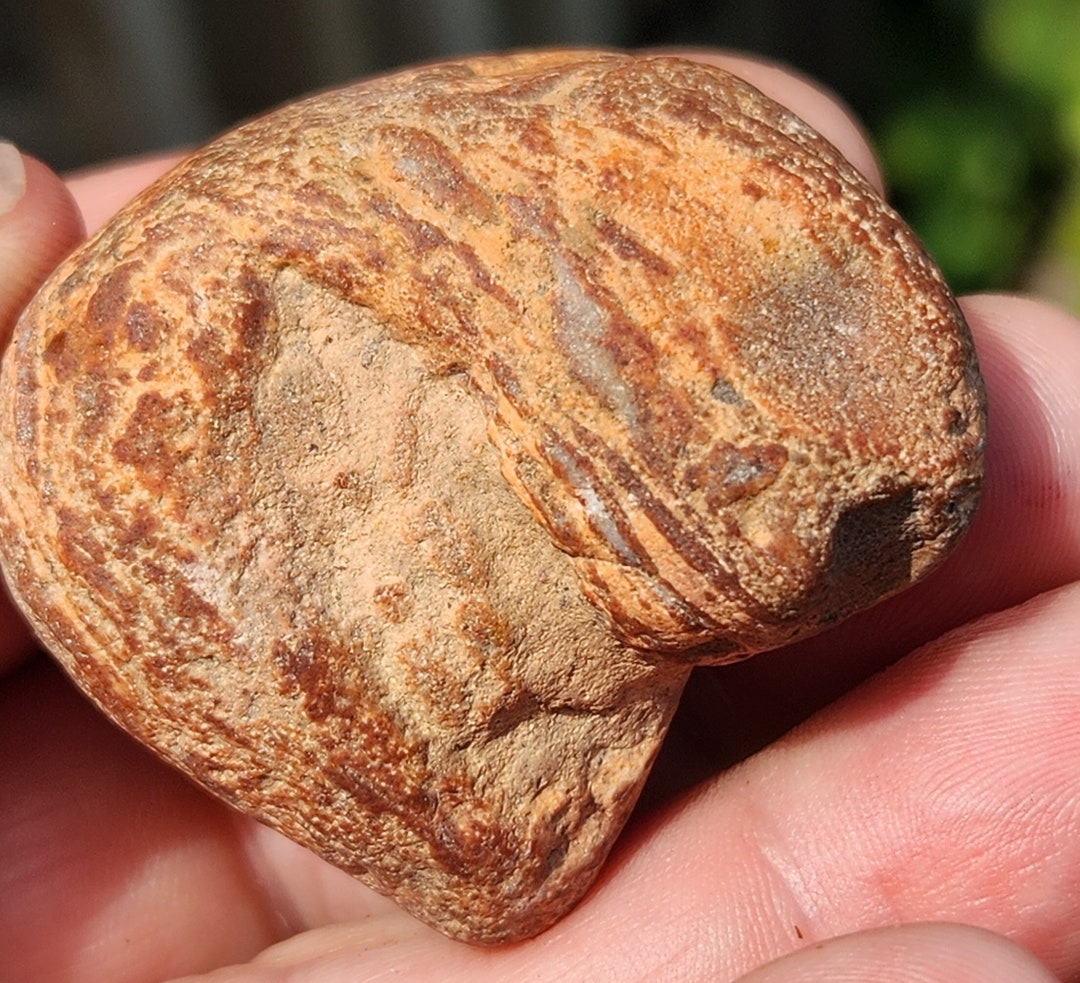 Flow Banded Rhyolite Lake Superior Agate Trickster 1.6 Oz. - Etsy UK