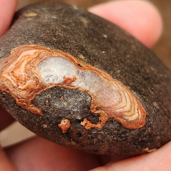Lake Superior Agate start in basalt rough gemstone 3.2 Oz.