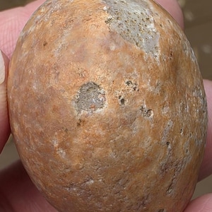 May include: A smooth, oval-shaped stone with a textured, mottled surface in shades of tan, light brown, and muted orange. The rock features small, irregular indentations and a slightly weathered appearance with varied mineral deposits across its surface.