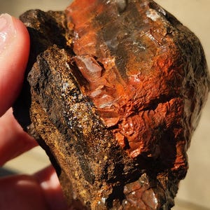 May include: A close-up of a rough, natural stone with a mix of colors. The stone has a dark brown base with areas of deep red and orange. The surface is textured and appears to have crystalline formations.