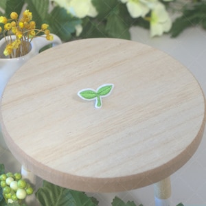 May include: A small green plant embroidered patch on a light brown wooden surface.