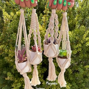 May include: Four off-white macrame plant hangers, each holding a small white ceramic pot with a succulent. The hangers feature knotted designs and tassels. Text labels below the pots read Anita, Sedona, Magnolia, and Cordelia respectively.