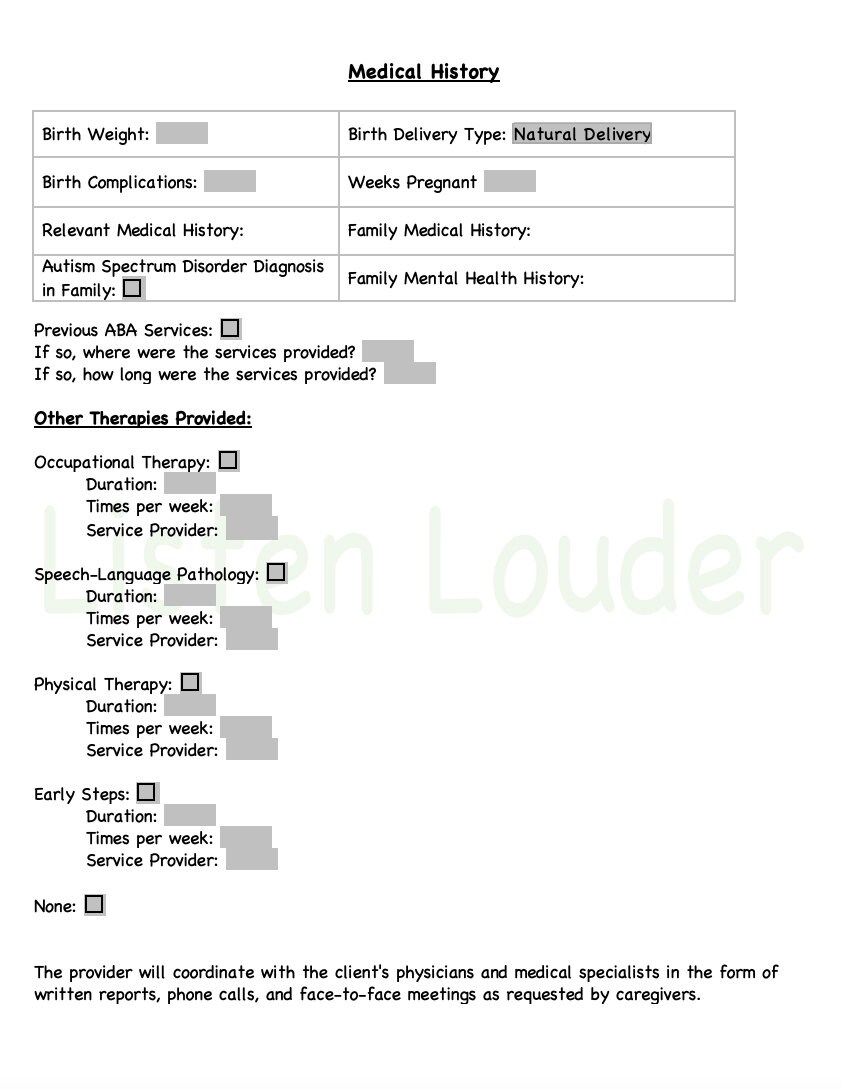 Functional Behavior Assessment Fba Editable Template Etsy