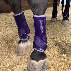 Colorful Iconoclast set of 4 Support Boots AND Bell Boots