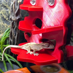 Stroodies Dig Box