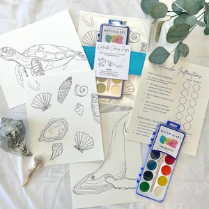 May include: A set of watercolor coloring pages featuring sea life illustrations, including a turtle, whale, and seashells. The set includes two watercolor paint sets, one with 9 colors and one with 12 colors, and a sheet of instructions.