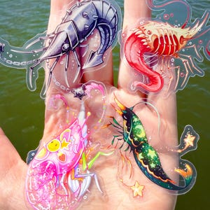 May include: Four transparent stickers of stylized shrimp in various colors. One is silver with spikes and a chain, another is red and white, a third is pink with stars, and the last is green with a starry pattern. The stickers are held in a hand.