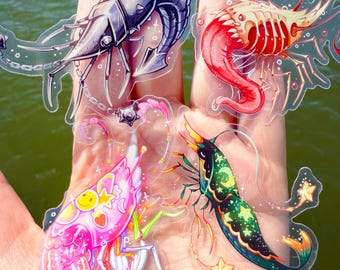 Themed Shrimp Stickers – Transparent Die Cut