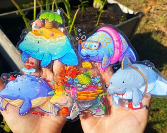 May include: A set of six colorful, cartoon-style manatee stickers. The manatees are depicted in various poses, including swimming, wearing sunglasses, and riding a surfboard. The stickers are printed on clear vinyl and are perfect for adding a touch of whimsy to any surface.