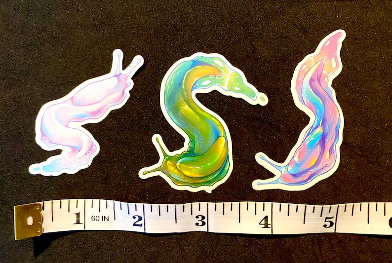 Slug Stickers Transparent Stickers Gastropods Cute Slugs Bug Lovers Iridescent slugs image 5