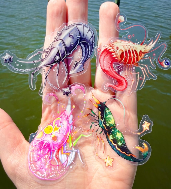 Themed Shrimp Stickers – Transparent Die Cut