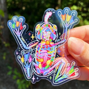 May include: A clear sticker featuring a colorful frog skeleton design. The frog's bones are depicted in vibrant rainbow hues, with details including the rib cage, spine, and limbs. The sticker has a black outline and includes small star and cross accents.