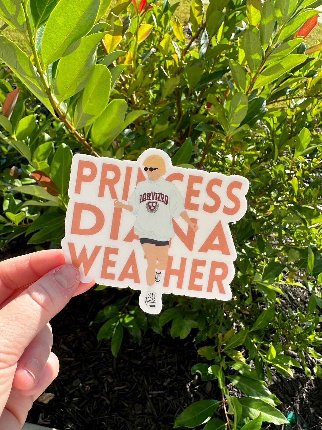 Diana Sticker Princess Diana Weather Sticker - A Regal Tribute to Timeless Elegance ...