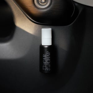 CarChap rechtopstaande lippenbalsemhouder (het origineel, patent aangevraagd) chapstick blijft vrij van knoeien bij hitte, opgenomen in Car&Driver, GRATIS VERZENDING IN DE VS