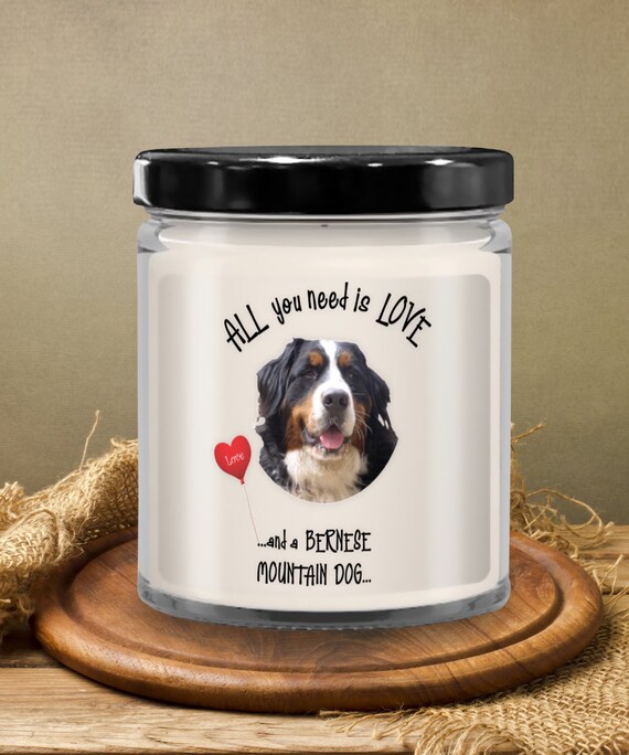 I love my hotsell bernese mountain dog