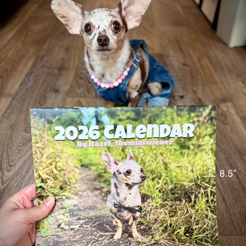 Chihuahua 2026 Calendar Etsy