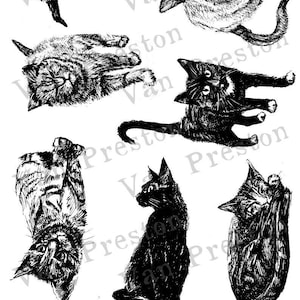 Cat Illustrations 7 Ink Drawings of Cats Printable 300DPI PNG Digital A4 US letter for Design Journalling Tattoos Cardmaking Book of Shadows