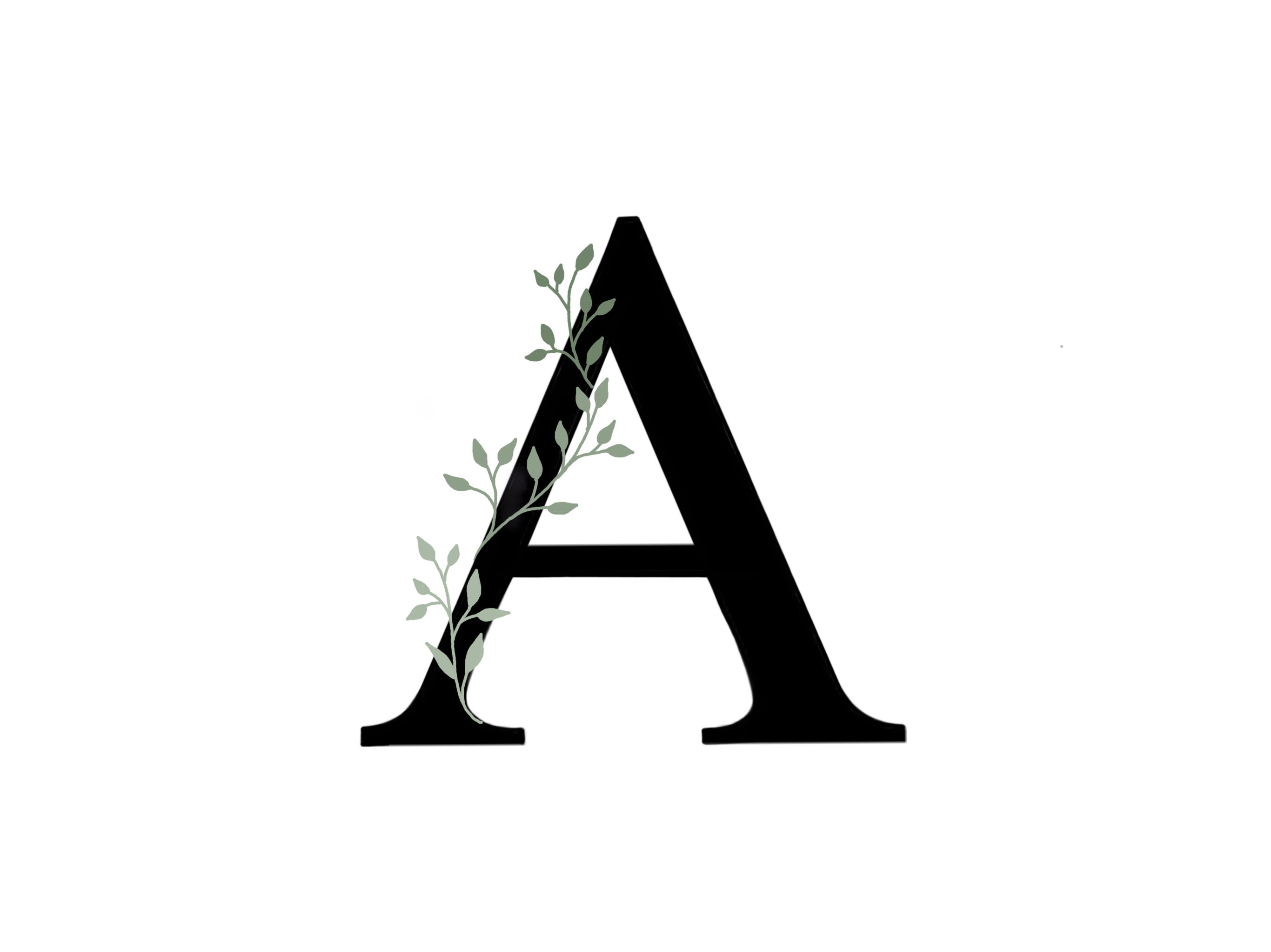 Buchstabe als Bild: The Art of Transforming Letters into Visual Masterpieces