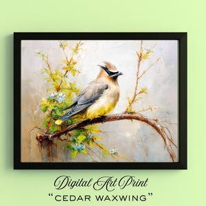 Cedar Waxwing Art Print: Vintage Bird Oil Painting, Cottagecore Decor (Digital Download)