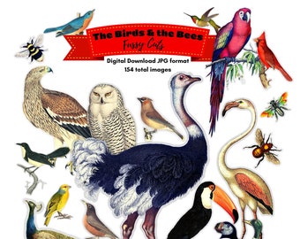 Fussy Cut Birds Bees Printable Cut Outs Scrapbook Junk Journal Digital Download