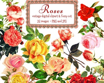 Klipart z różami w stylu vintage, kwiatowe, finezyjne cięcia (pobieranie cyfrowe)