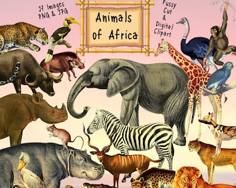 Africa Animals Clipart: Printable Fussy Cuts (Digital Download)
