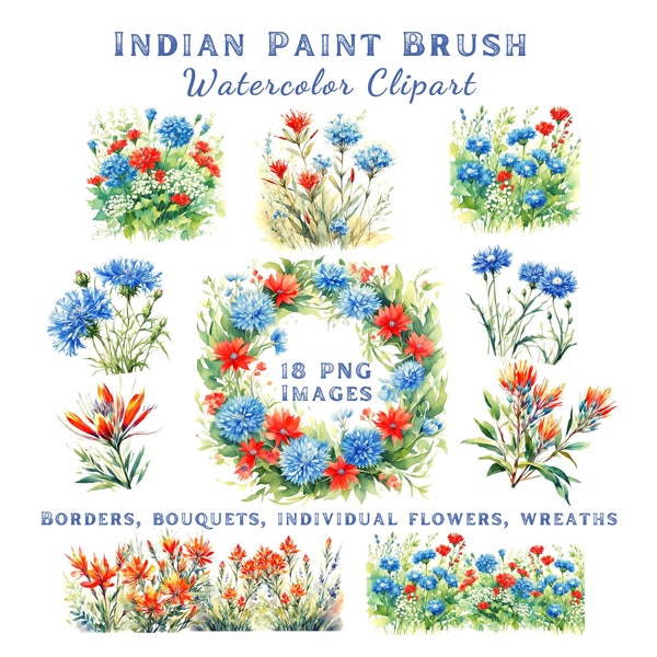 Indian Paint Brush Flower Clipart Watercolor Red White Blue Floral Borders Bouquets Printable Transparent PNG Instant Digital Download