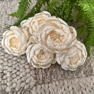May include: A collection of ivory-coloured, paper-like flowers with a light tan centre, arranged on a textured, light grey surface. Green fern fronds are visible in the background, adding a natural element to the floral arrangement.