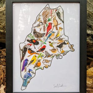 Birds of Maine Kunstdruck von Maine Artist signiert, der einheimische Vogelarten wie Papageientaucher, Spruce Grouse, Schwarzkopfmeisen und andere darstellt