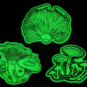 Puede incluir: Tres pegatinas de hongos que brillan en la oscuridad. La primera pegatina es un hongo único con una tapa grande. La segunda pegatina es un grupo de tres hongos con tapas más pequeñas. La tercera pegatina es un hongo único con una tapa grande en forma de abanico.