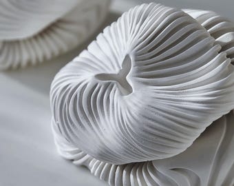 Peut inclure: Gros plan sur deux ornements blancs en forme de vagues, avec des textures tourbillonnantes complexes. Les pièces de décoration faites à la main ont une ouverture centrale et sont posées sur un fond neutre et doux. Le texte "CORALLO WAVE ORNAMENT" est visible.