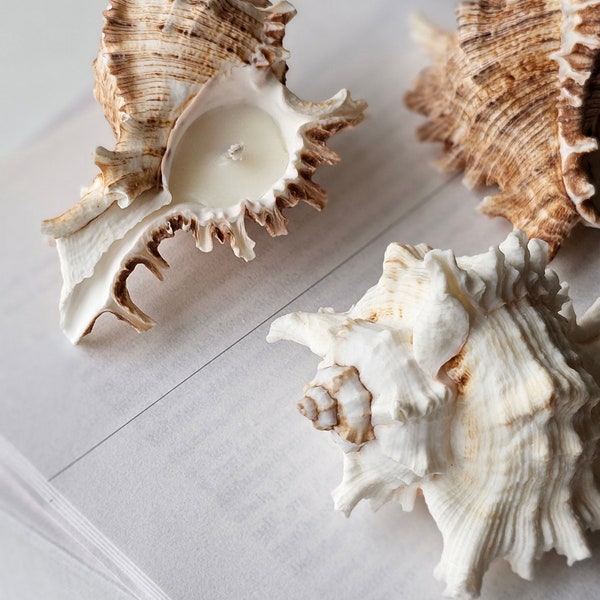 Murex Ocean Seashell Candle Natural Handmade Gift