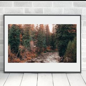 River in Forest, Rustic Landscape Photo Art, Nature Landscape Decor, River Wall Decor, Landscape Photo Woods Forest Trees River Home Decor