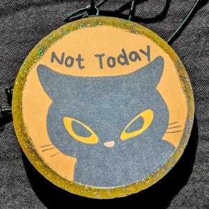 Assainisseur d'air pour voiture Not Today Cat - Freshie pour chat mignon et grincheux