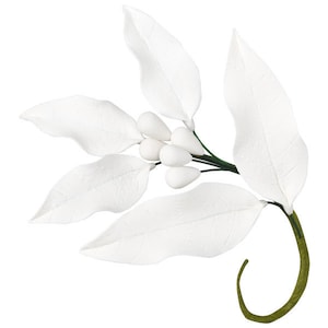 May include: White fondant leaves and white pearl-like berries on a green stem. This is a decorative sugar flower sprig for cakes and other desserts.