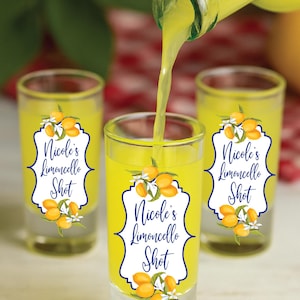 Custom Limoncello Shot Glass, Printed Glass Cup, Personalized Mini Liquor Glass, Italy Souvenir, Colorful Party Drinkware