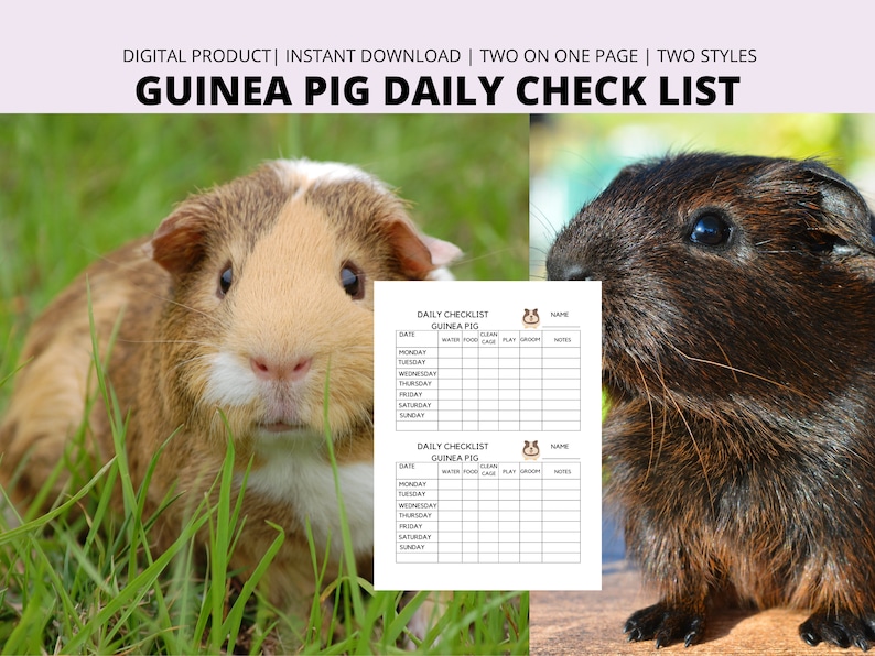 Guinea Pig Daily Checklist Care Planner Diet Tracker Guinea - Etsy