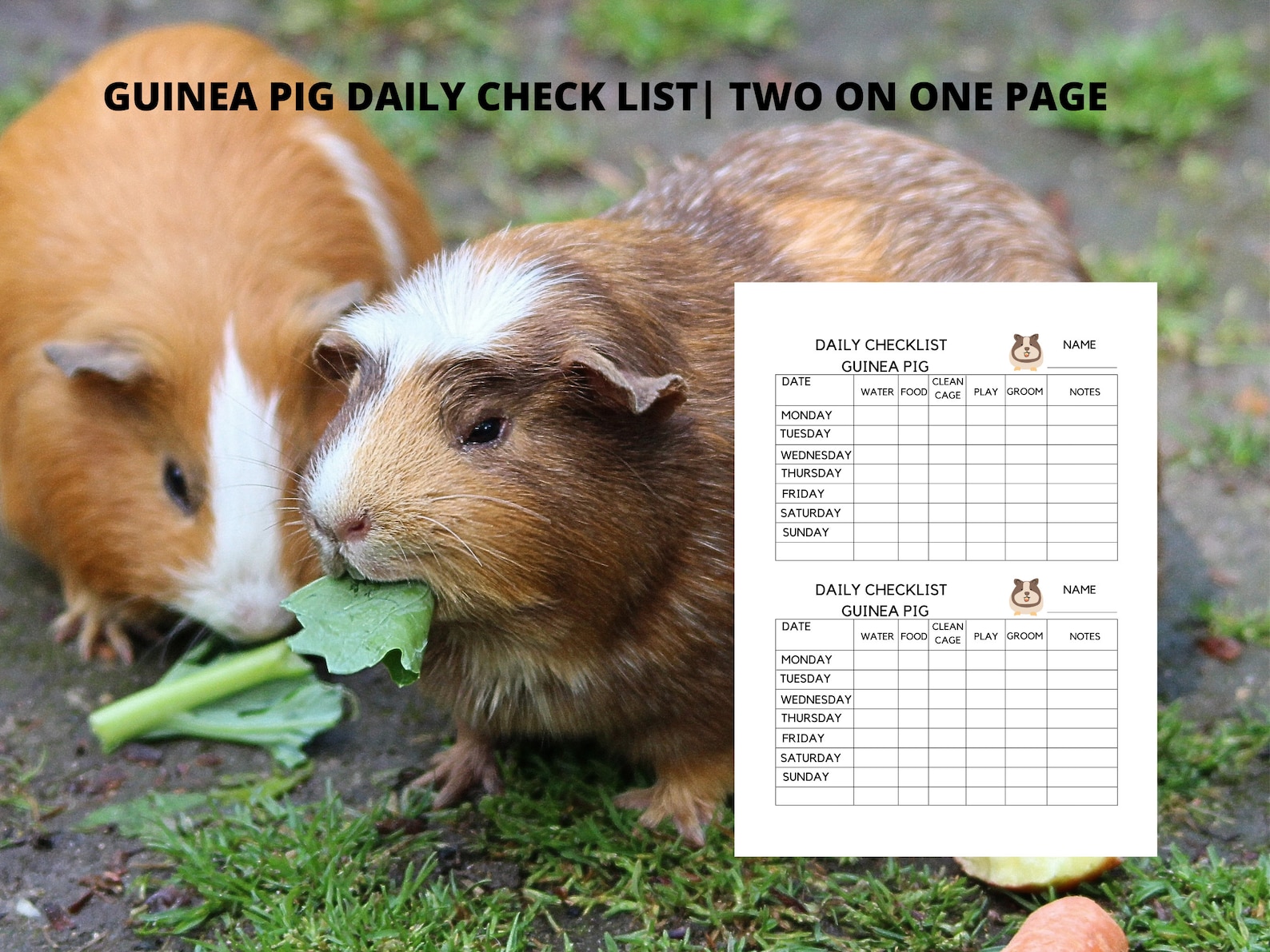 Guinea Pig Daily Checklist, Care Planner, Diet Tracker, Guinea Pig