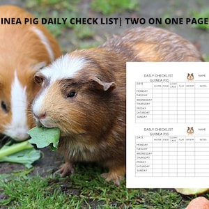 Guinea Pig Daily Checklist, Care Planner, Diet Tracker, Guinea Pig ...