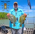 A Jig For Bluegills and Shellcrackers - The Hairy Cricket Jig
