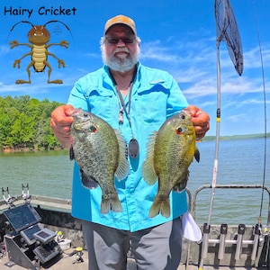 May include: A person holding two green and brown fish with red spots. The fish are being held in front of a blue sky with white clouds. The person is wearing a blue shirt and a baseball cap. The text "Hairy Cricket" is in the top left corner of the image.